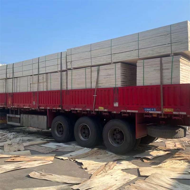 舟曲县探寻会东县进仓物流的多元运输奥秘